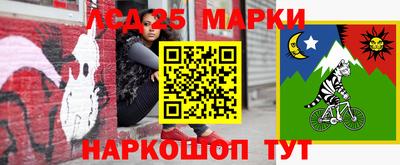 spice Заволжье