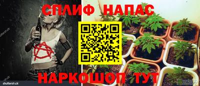 альфа пвп Жуковский